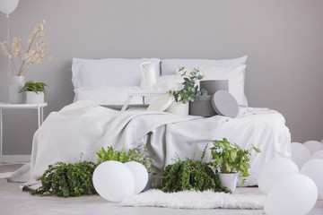 Coy space on the empty grey wall of sophisticated bedroom interior with urban jungle and comfy king size bed