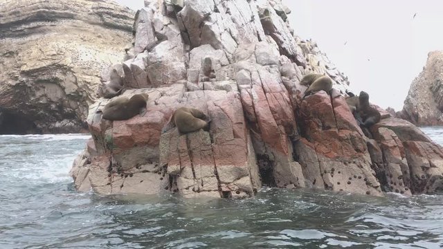 Seals sleep on the rocks at Ballestas Islands