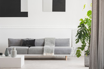 Monochrome grey, white and black living room interior with sofa