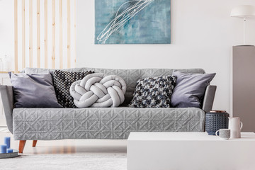 Comfortable grey couch in elegant living room interior
