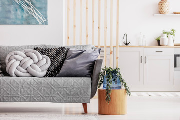 Open plan studio apartment with small white kitchen and living room with grey couch and wooden...