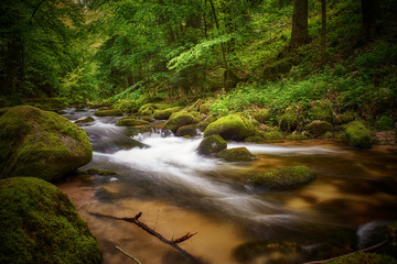 Ein Bach im Nordschwarzwald
