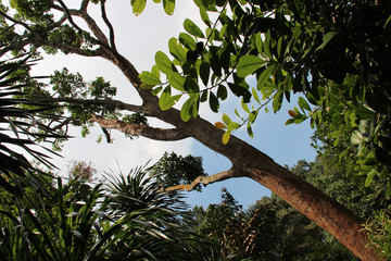 in a park in singapore