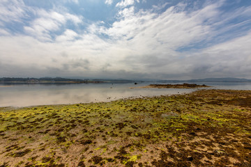 low tide