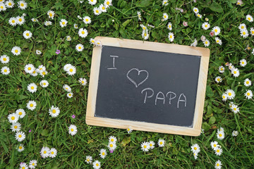 spring written on blackboard with chalk on blackboard