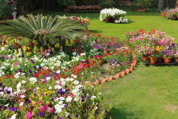 background,backyard,bark,beautiful,bloom,blooming,blossom,bright,color,colorful,day,design,environment,fence,flora,floral,flower,foliage,fresh,garden,grass,green,home,landscape,lawn,natural,nature,new