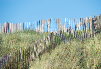 Fototapeta na wymiar bleached dunes fence