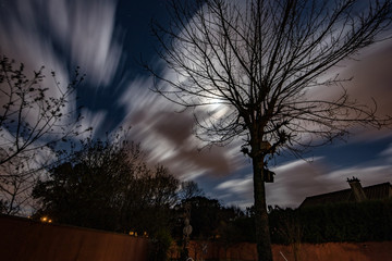 time lapse of clouds, moon and trees