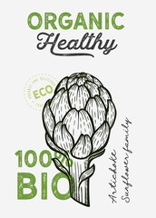 Vegetables illustration for farm market design banner