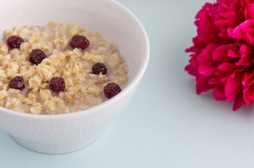 Bowl of oatmeal porridge with frozen cherries on the white background with pionies 