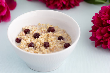 Bowl of oatmeal porridge with frozen cherries on the white background with pionies 