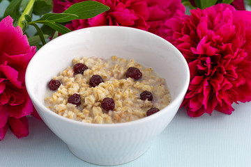 Bowl of oatmeal porridge with frozen cherries on the white background with pionies 
