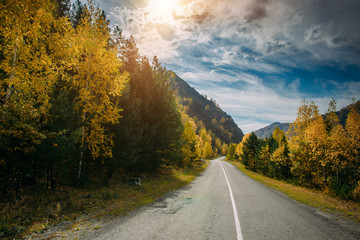 Naklejka premium Asphalt mountain road among the yellow autumn trees and high rocks, in the bright rays of the sun. Road trip to the most beautiful places in Russia.