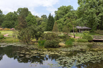 Obraz premium View of the Japanese garden in the city Botanical garden . Landscape composition with a pond, trees and flowers. The beginning of summer, Sunny day.