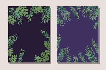 Tropical leaves frame design vector illustration