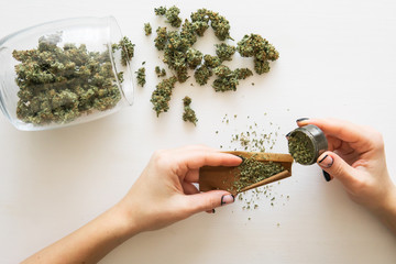 Woman rolling a marijuana blunt on white background. Close up of marijuana blunt with grinder....