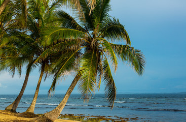 Aguja Island, San Blas archipelago, Kuna Yala Region, Panama, Central America, America