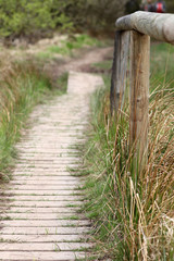 Fototapeta premium Ścieżka prowadząca przez Wysokie Murawy Belgii
