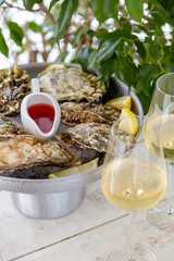 Fresh oysters with ice and white wine. Seafood. White background