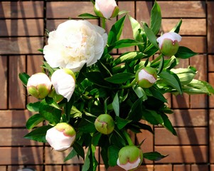 bouquet of white peonies