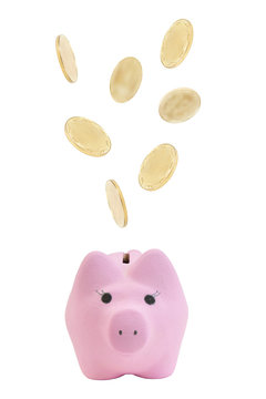 Golden coins falling into a pink piggy bank, isolated on white background.