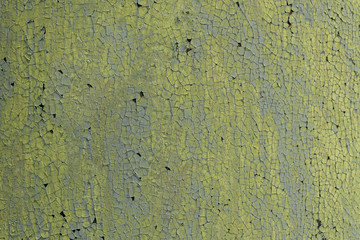 green texture of old paint on wall
