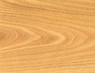 Wood grain surface close up texture background. Wooden floor or table with natural pattern