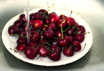 fresh sweet cherry in a bowl of water under the tap