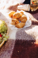 summer picnic on a rug with fruits, wine and tea, cups, croissants and sweets details