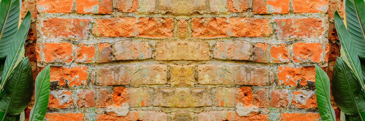 Green leaves of tropical plant next to loft brick wall. Background texture with copyspace. Banner