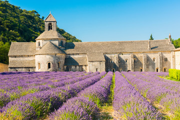 Senanque Abbey
