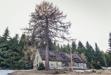 Ruined outbuilding of abandoned mountain guestahouse in Owl Mountains Landscape Park, protected area in Lower Silesia Province of Poland