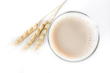 Oats milk in a bottle isolated on white background