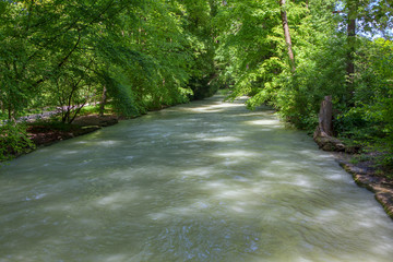 river with cold water in green summer park 