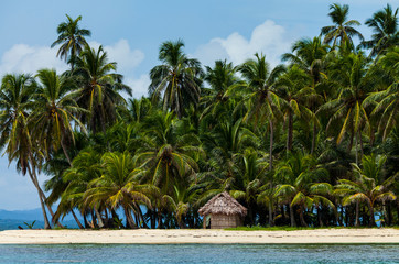 Aguja Island, San Blas Archipelago, Kuna Yala Region, Panama, Central America, America