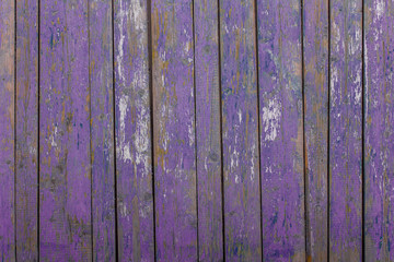 gray old fence a wall of wooden planks with purple peeling paint and cracks and white spots. vertical lines. rough surface texture
