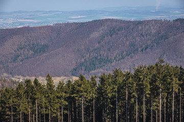 Forests in Owl Mountains Landscape Park, protected area in Lower Silesia Province of Poland