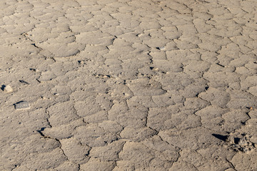 Arid and cracked desert soil due to lack of water and drought.