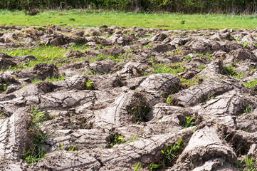 Plowed fields. Agricultural land is being prepared for the sowing season. Smooth furrows of the...