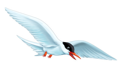 cartoon scene with flying bird tern isolated on white background illustration for children