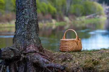 wowen wooden picnic basket in nature trails in summer