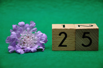 Number twenty five with a purple flower on a green background