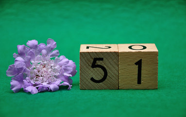 Number fifty one with a purple flower on a green background