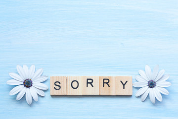 Word sorry and flowers on blue background.