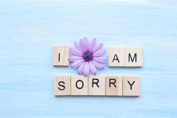 I am  sorry text and flower on blue background.