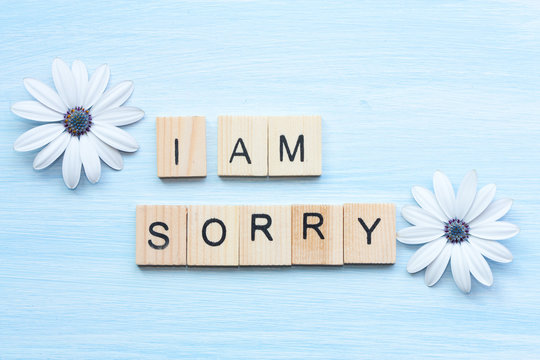 I am sorry text and flowers on blue background.