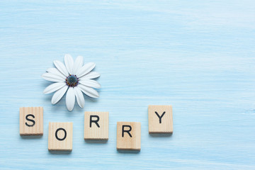 Word sorry and flower on blue background.