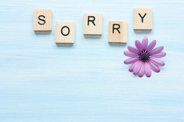 Word sorry and flower on blue background.