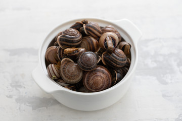 boiled snails with herbs in white dish on ceramic background