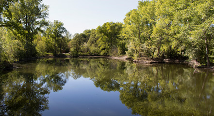 Irtysh river backwater in the Park. Parkland.